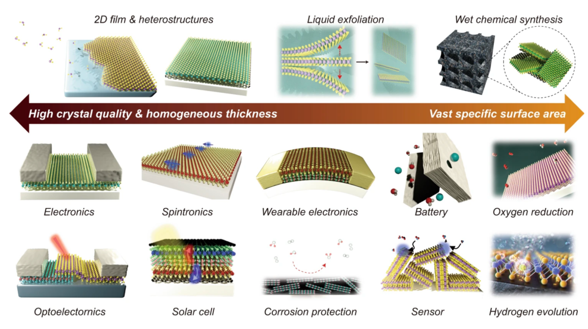 Specific target-oriented techniques for the mass production of 2D materials.