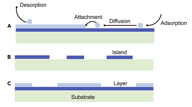 Specific target-oriented techniques for the mass production of 2D materials.