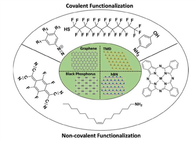 Covalent functionalization of 2D materials.