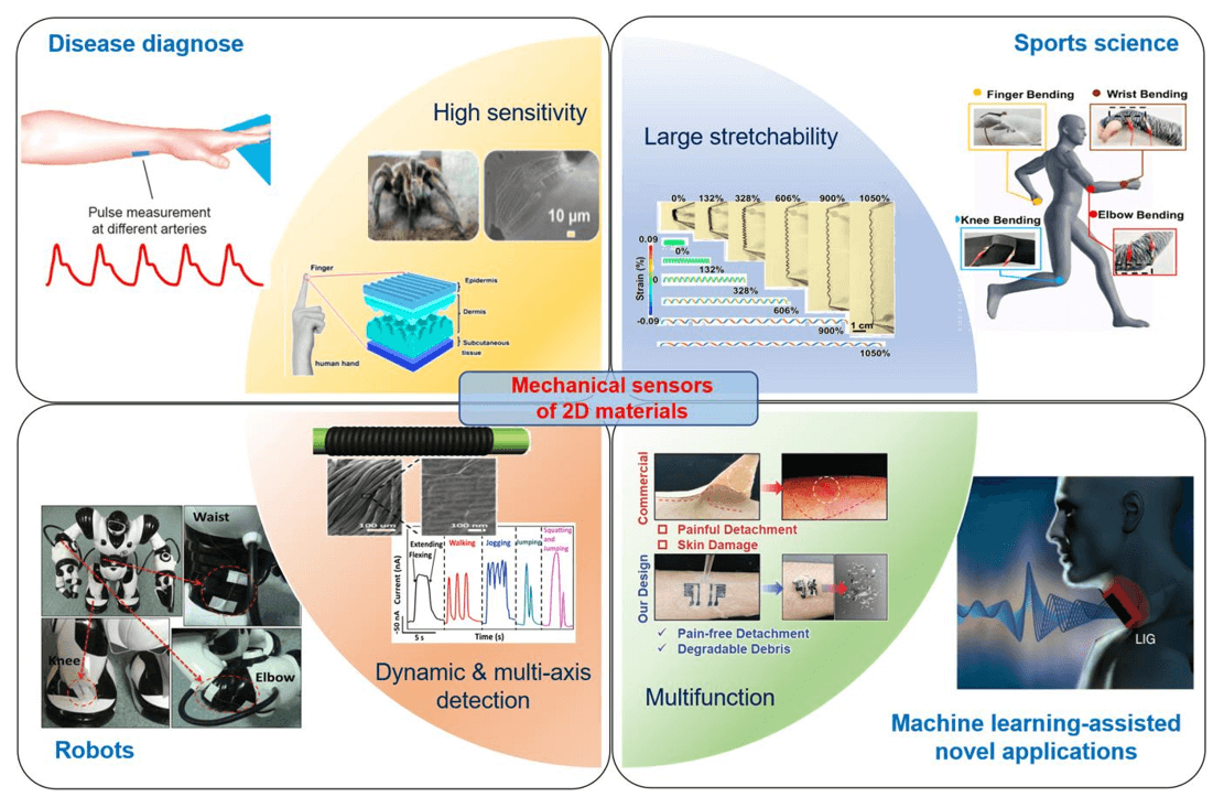 Structural designs and wearable applications of mechanical sensors based on 2D materials.