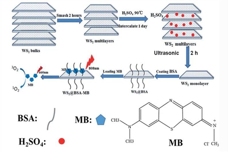  Synthesis procedure of WS2 nanosheets and their application as a multifunctional photosensitizer delivery system.