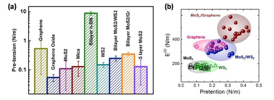 The estimated pretension from nanoindentation experiments.