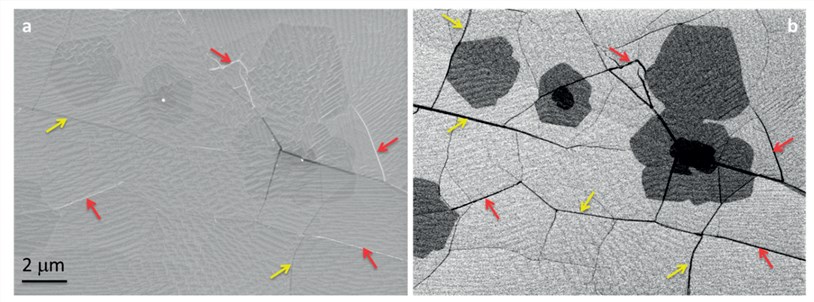 SEM images of graphene grown over the Cu substrate.