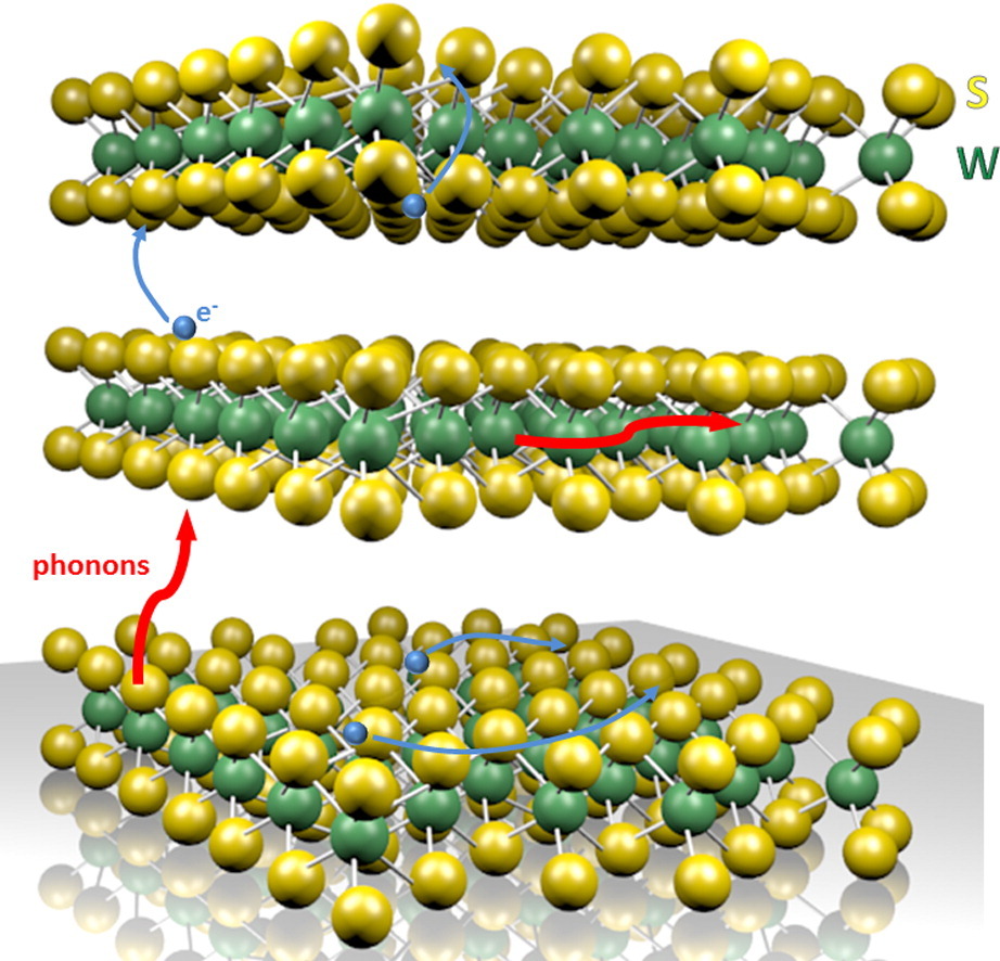 Anisotropic transport properties of tungsten disulfide.