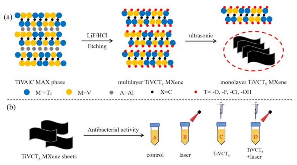 (a) The synthesis and manufacturing process of the TiVCTx MXene nanosheet; (b) Antibacterial performance of TiVC under different experimental conditions.